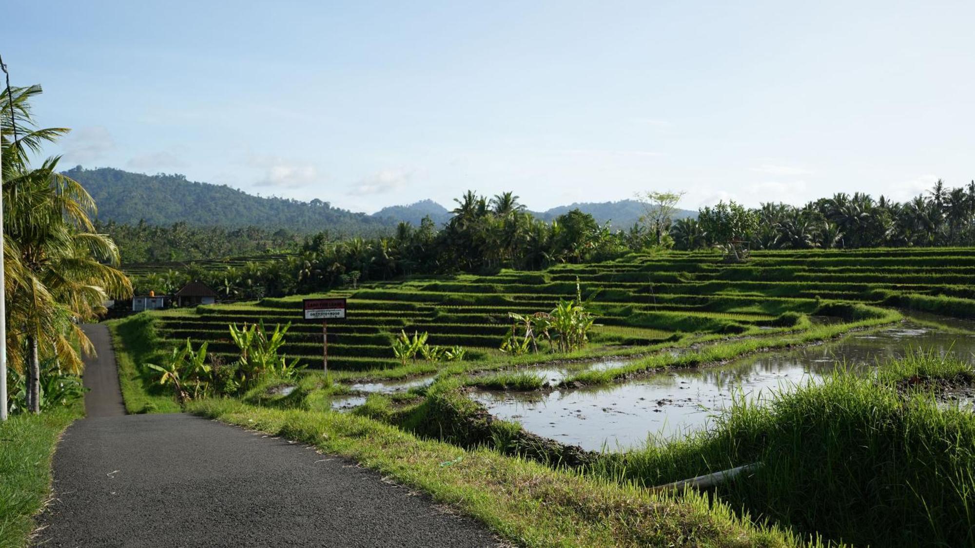 Kelapa Retreat & Spa Pulukan Luaran gambar